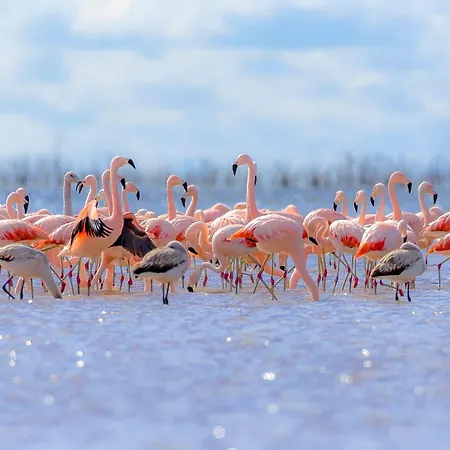 La Lagune Vue de Rêve Alojamento de Acomodação e Pequeno-almoço 4*