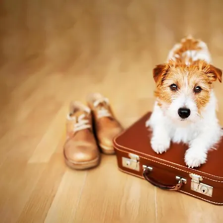 La Lagune Vue de Rêve Bages (Aude)